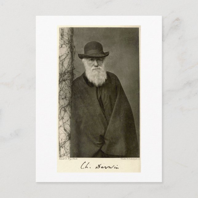 Darwin stod bredvid en pelare, publicerad 1908 vykort (Framsida)