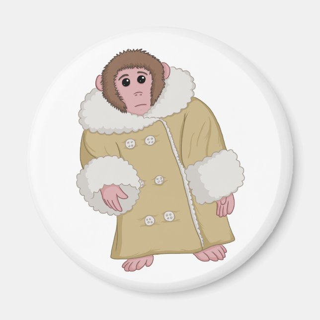 Darwin the Ikea Monkey Magnet (Framsidan)