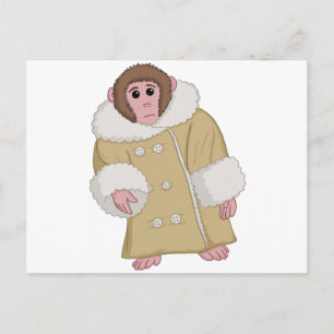 Darwin the Ikea Monkey Vykort