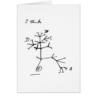 Darwin träd hälsningskort