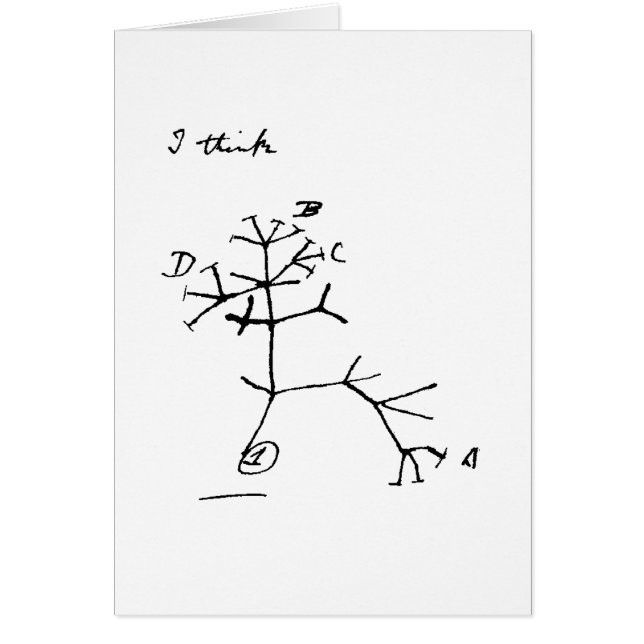 Darwin träd hälsningskort (Framsidan)