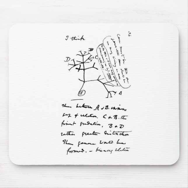 Darwin träd musmatta (Framsidan)