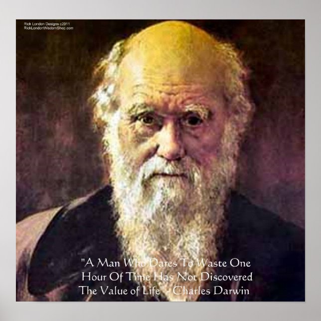 Darwin "Value of Life" Wisdom Quote Poster (Framsidan)