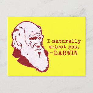 Darwin Vykort