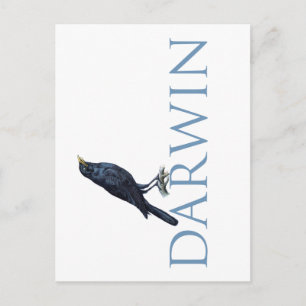 Darwin Vykort