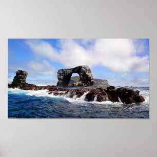Darwins båge i de Galapagos öarna Poster