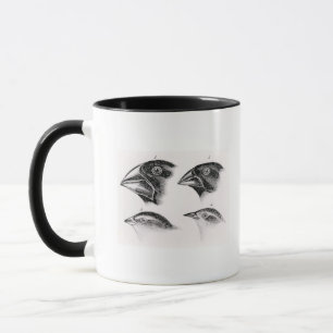 Darwins fågelobservationer mugg
