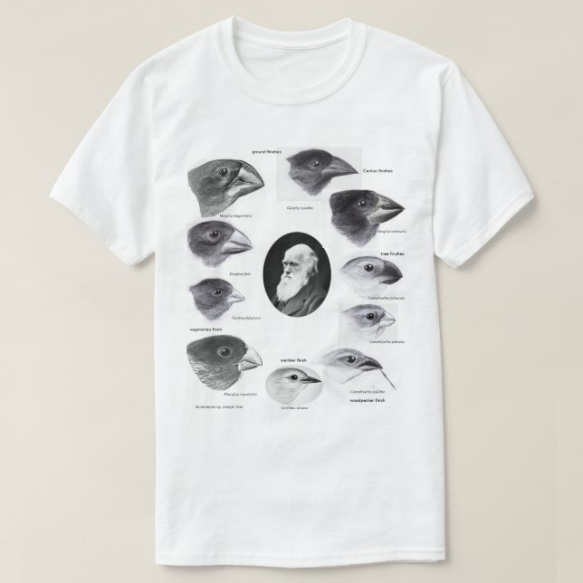 Darwin's finches t shirt (Design framsida)