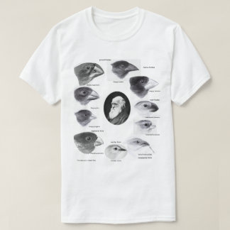 Darwin's finches t shirt