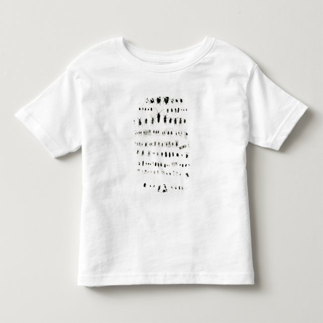 Darwins insektsamling t-shirt (Framsida)