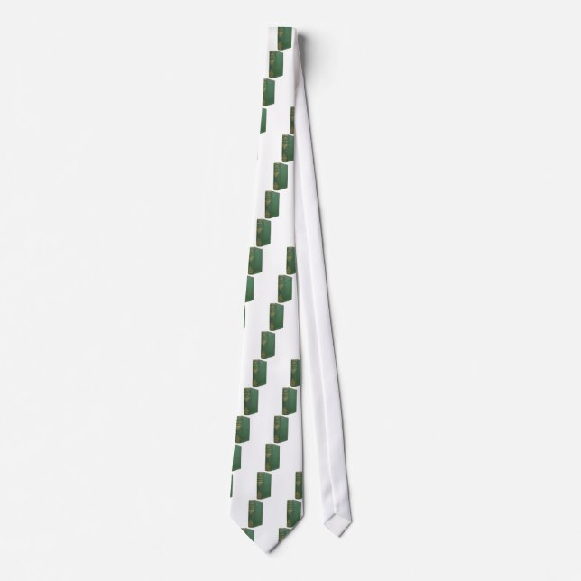 Darwins ursprung av art slips (Framsida)