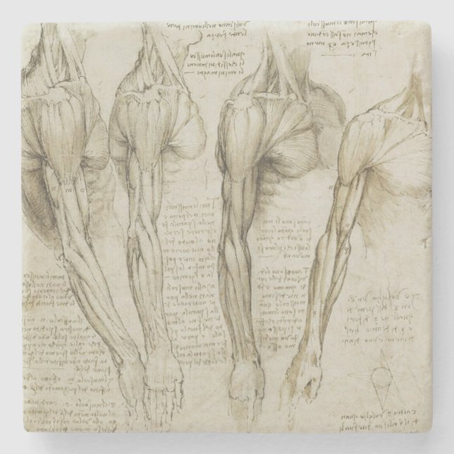 Das Vinci anatomi för människaarm Stenunderlägg (Framsidan)