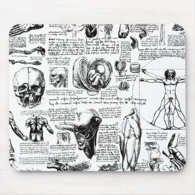 Das Vinci anatomiSketchbook Musmatta (Framsidan)