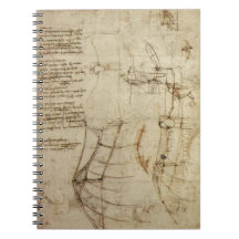 Das Vinci flygContraption