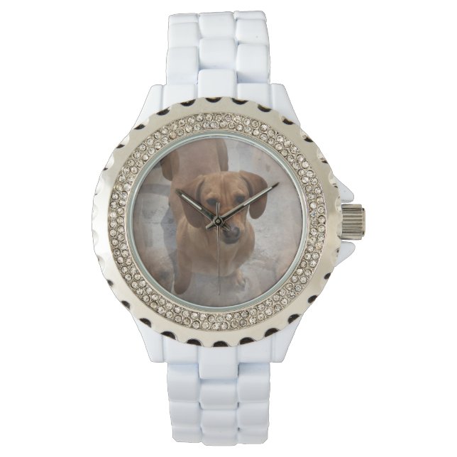Daschund Armbandsur (Framsida)