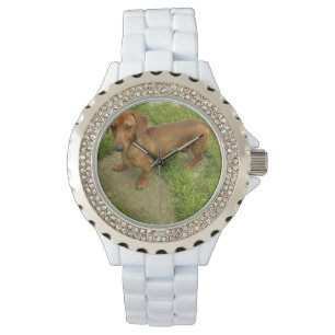 Daschund Armbandsur
