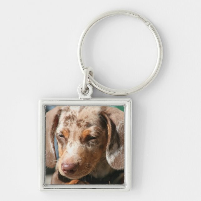 Daschund hund Keychain Fyrkantig Silverfärgad Nyckelring (Framsidan)