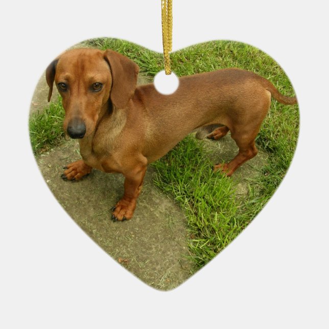Daschund hundprydnad julgransprydnad keramik (Framsidan)