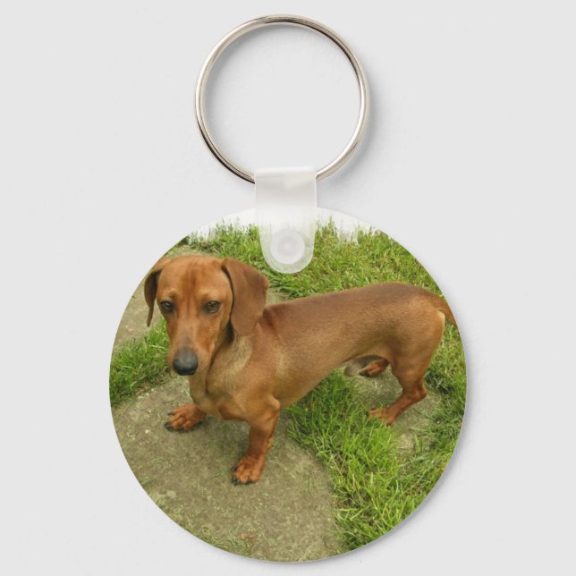 Daschund Keychain Nyckelring (Framsida)