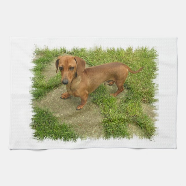 Daschund kökshandduk (Horisontell)