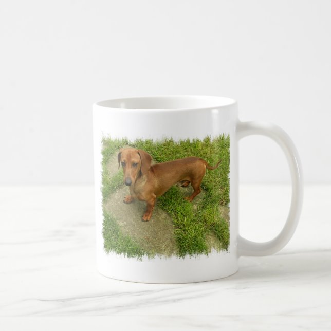 Daschund mugg (Höger)