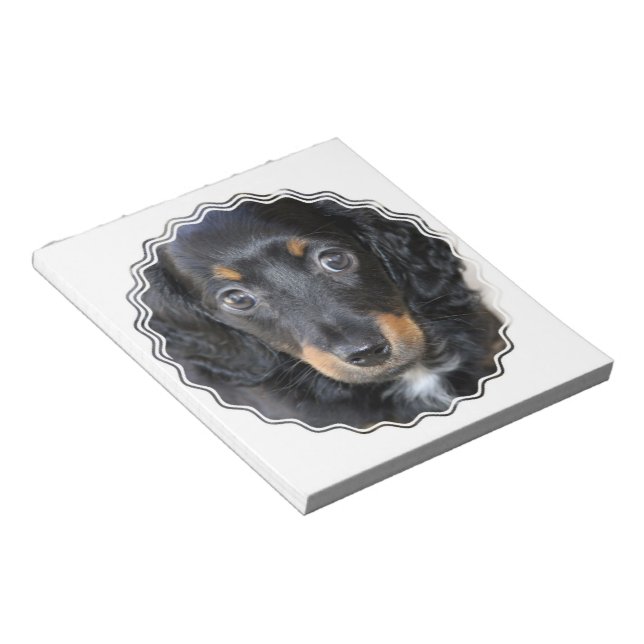 Daschund Puppy Hund Anteckningsblock (Vinklad)