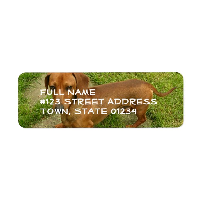 Daschund Returadress Mailing Label Returadress Etikett (Framsidan)