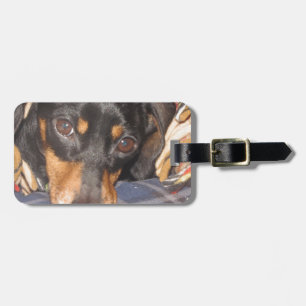 Daschund Weener hundansikte Bagagebricka