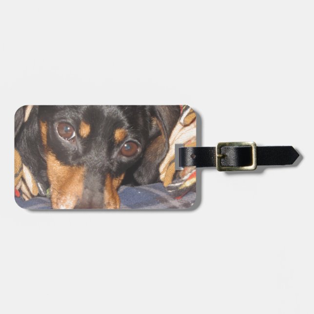 Daschund Weener hundansikte Bagagebricka (Horisontell Framsida)
