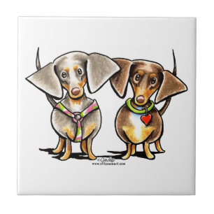 Dash Dappled Dachshunds Kakelplatta