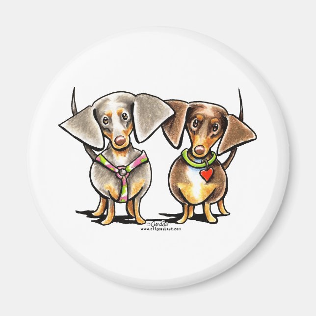 Dash Dappled Dachshunds Magnet (Framsidan)