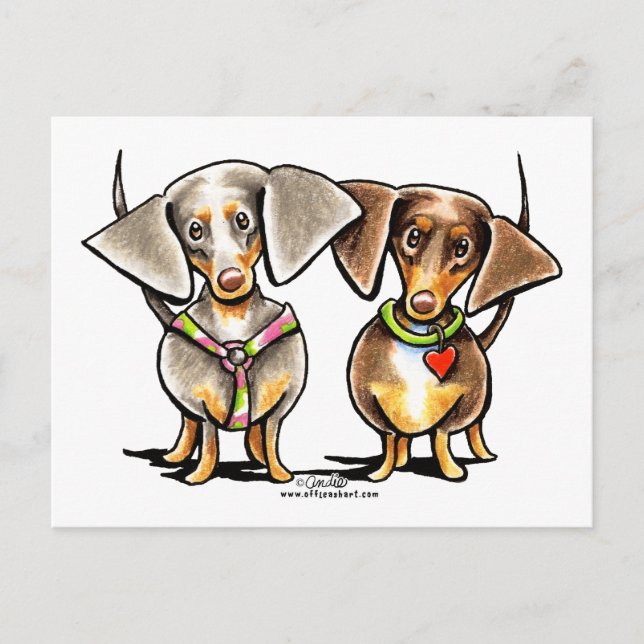 Dash Dappled Dachshunds Vykort (Framsida)