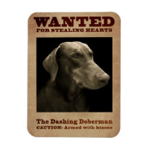 Dash Doberman Magnet
