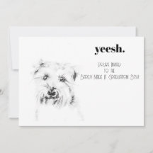Dash hunden
