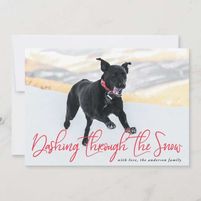 Dashing Through The Snow | Julkort för husdjur (Framsida)