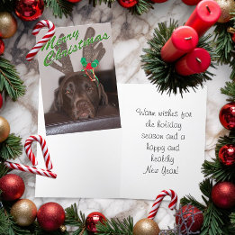 Dåsighet vid Hund vid Glitter Antlers Helgkort