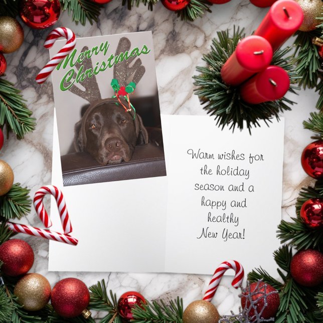 Dåsighet vid Hund vid Glitter Antlers Helgkort (Folding Christmas card cover and inside)