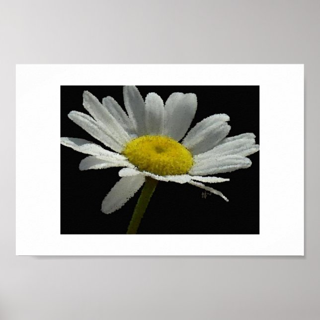 Dasiy Poster (Framsidan)