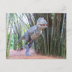Daspletosaur - Dinosaur - Inlärningskort Vykort