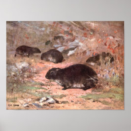 Dassie Råttor by CE Svan, Vintage Vild Animal Rode Poster
