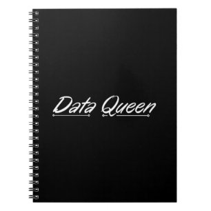 Data Queen - Redovisning Anteckningsbok