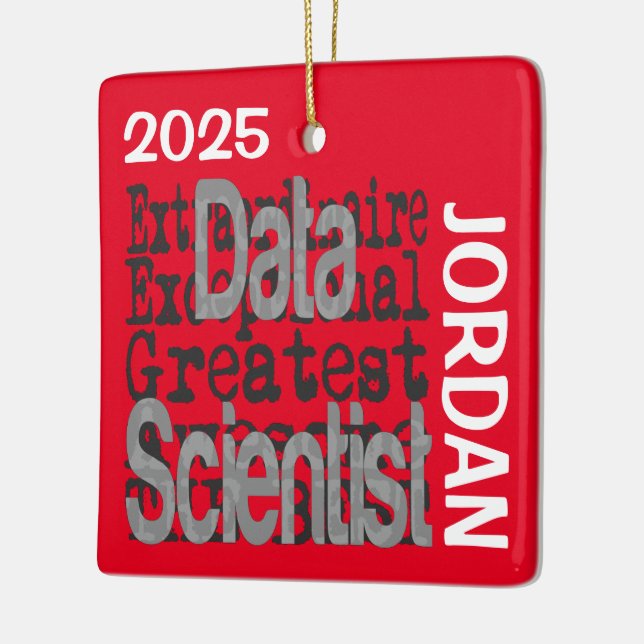 Datasciencextraordinarie Anpassad Julgransprydnad Keramik (Vänster)