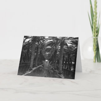 Datera handflatandungen under Bevattning, 1966 Kort