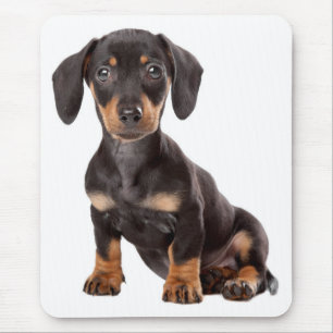 Dator Mousepad för hund för kärlektaxvalp Musmatta