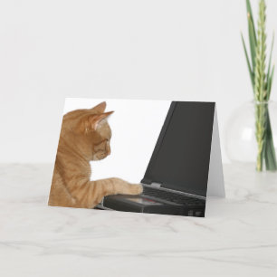 datorkatt kort