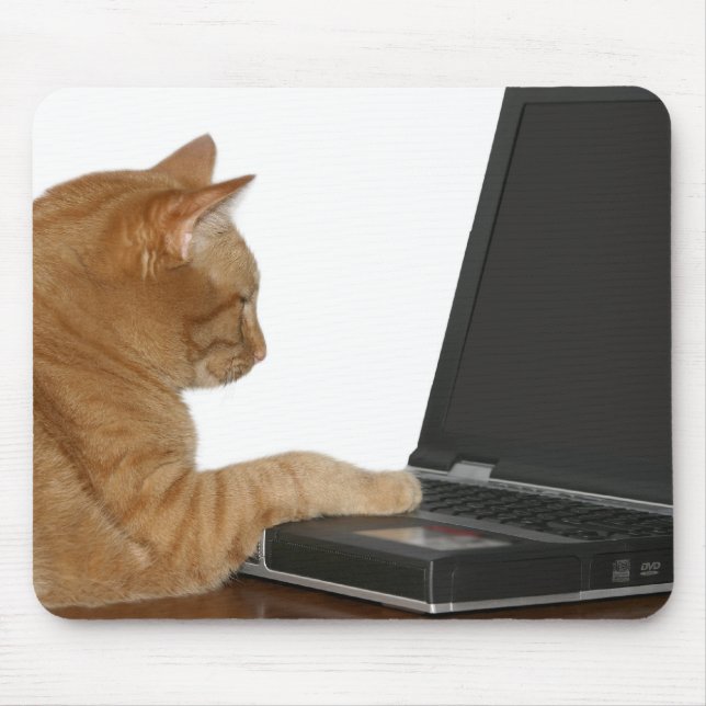 datorkatt musmatta (Framsidan)