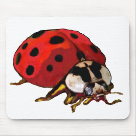 Datormuspekare Musmatta