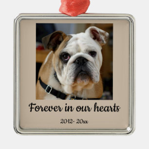 Datum Anpassad Foto Bulldog Hund Minne Julgransprydnad Metall