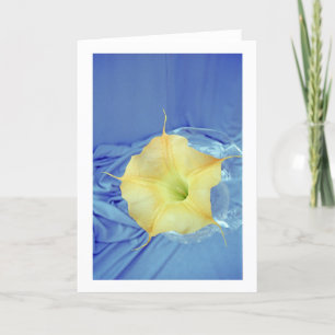 Datura Flower Photo Greeting Card Kort
