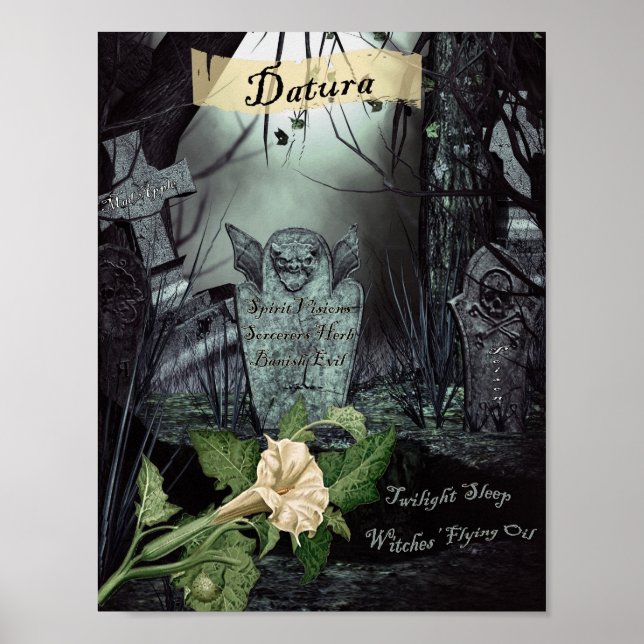 DATURA WITCH'S HERB POSTER (Framsidan)